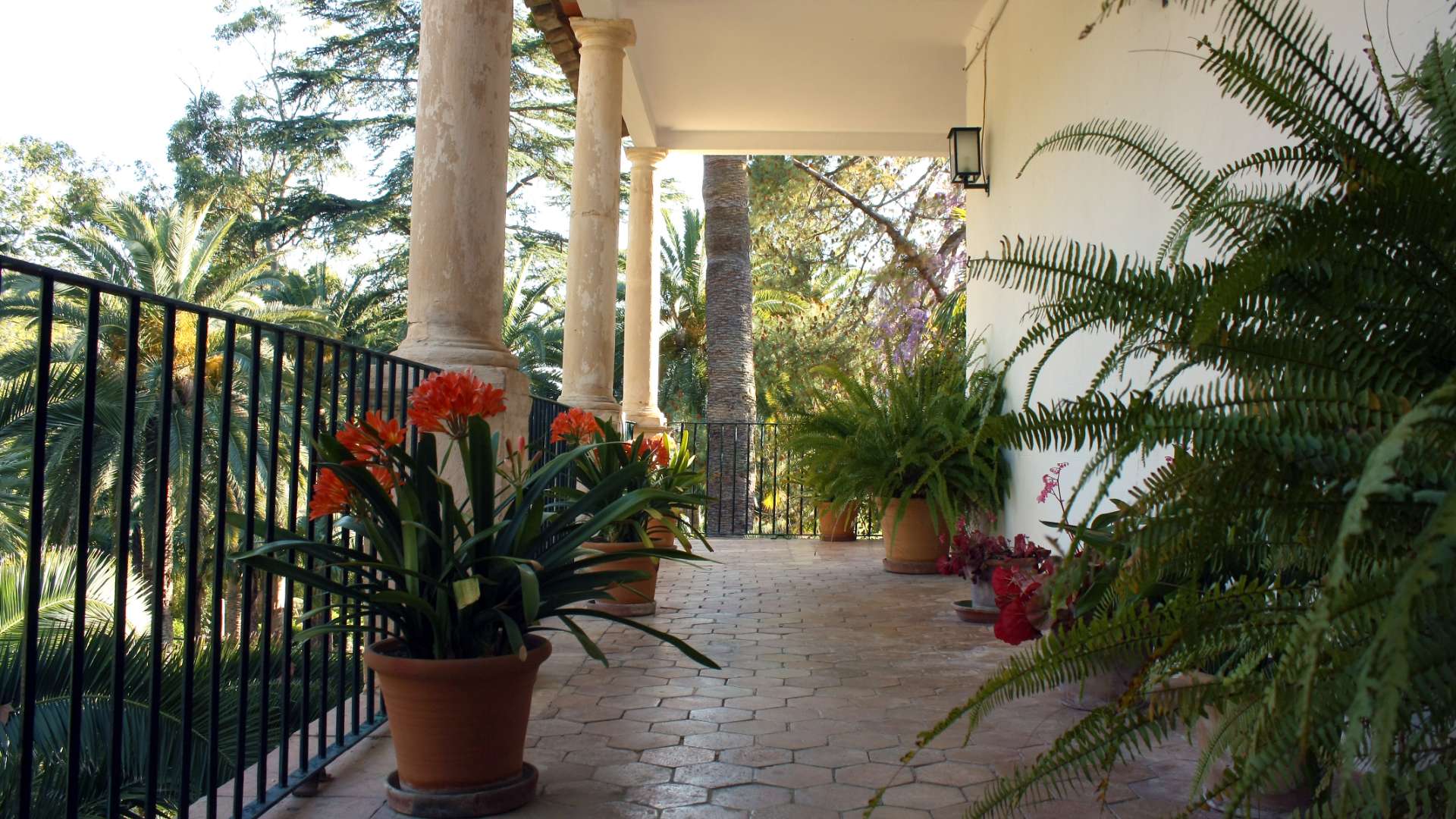 The House Gallery 20 - Jardines de Alfabia