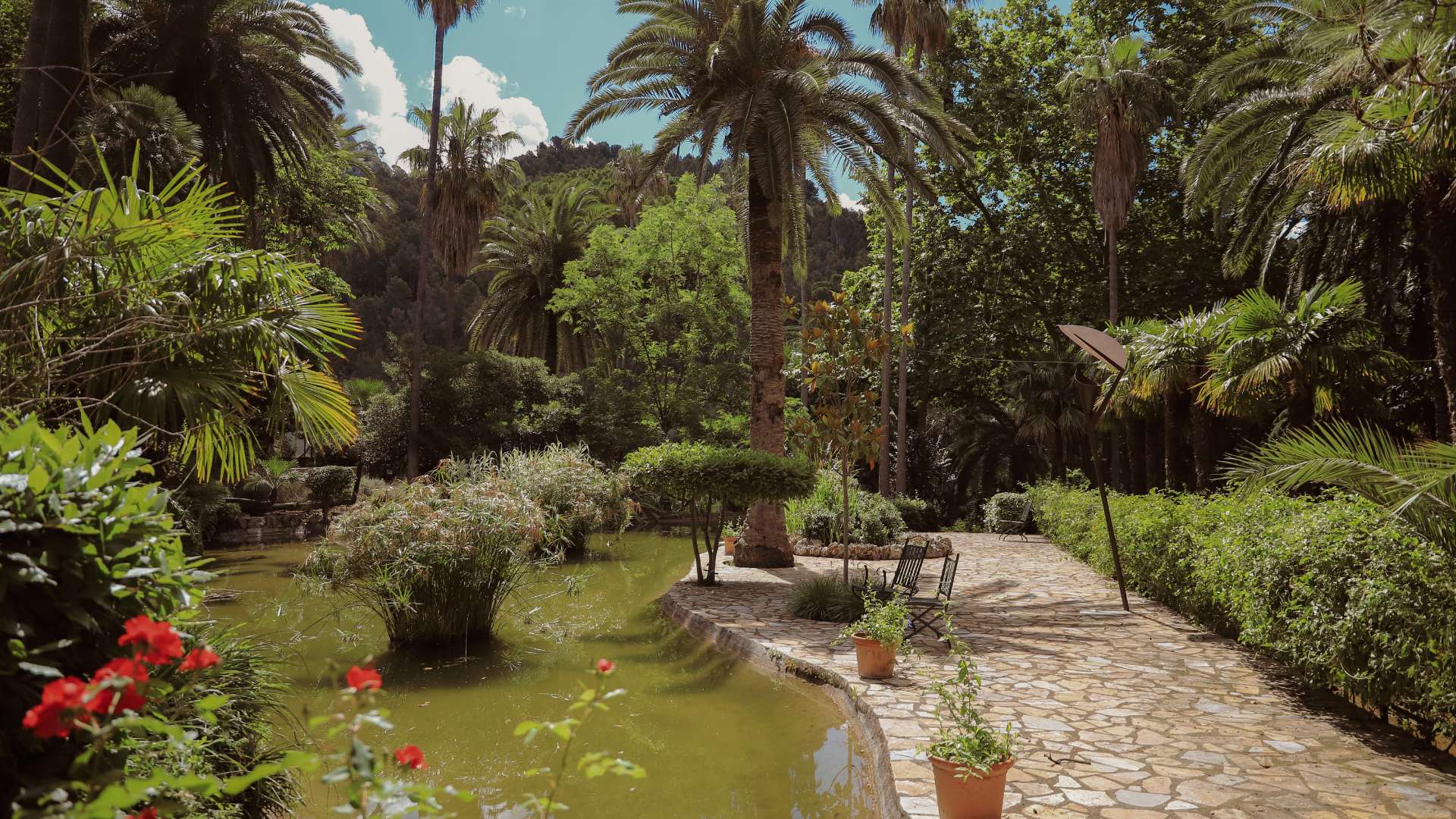 Galerie 1 - Jardines de Alfabia