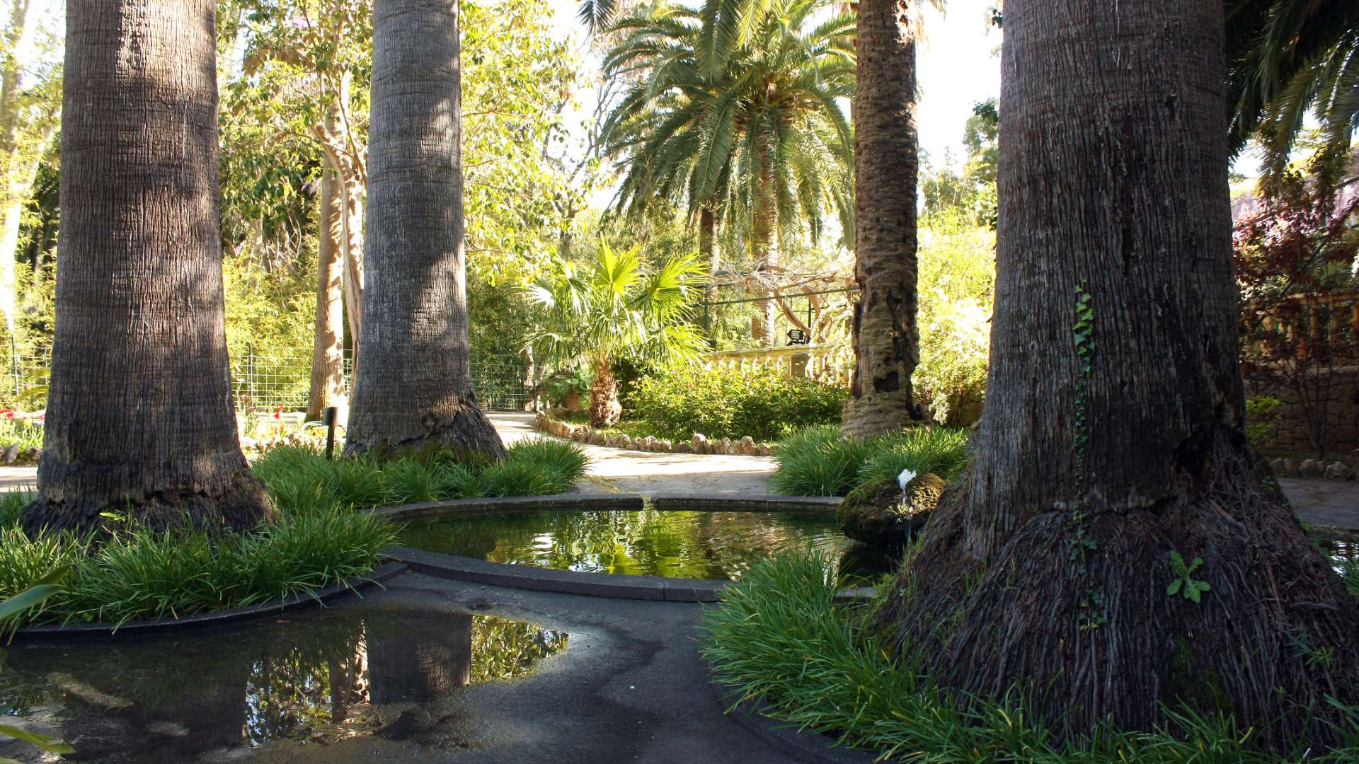Los Jardines Galería 46 - Jardines de Alfabia