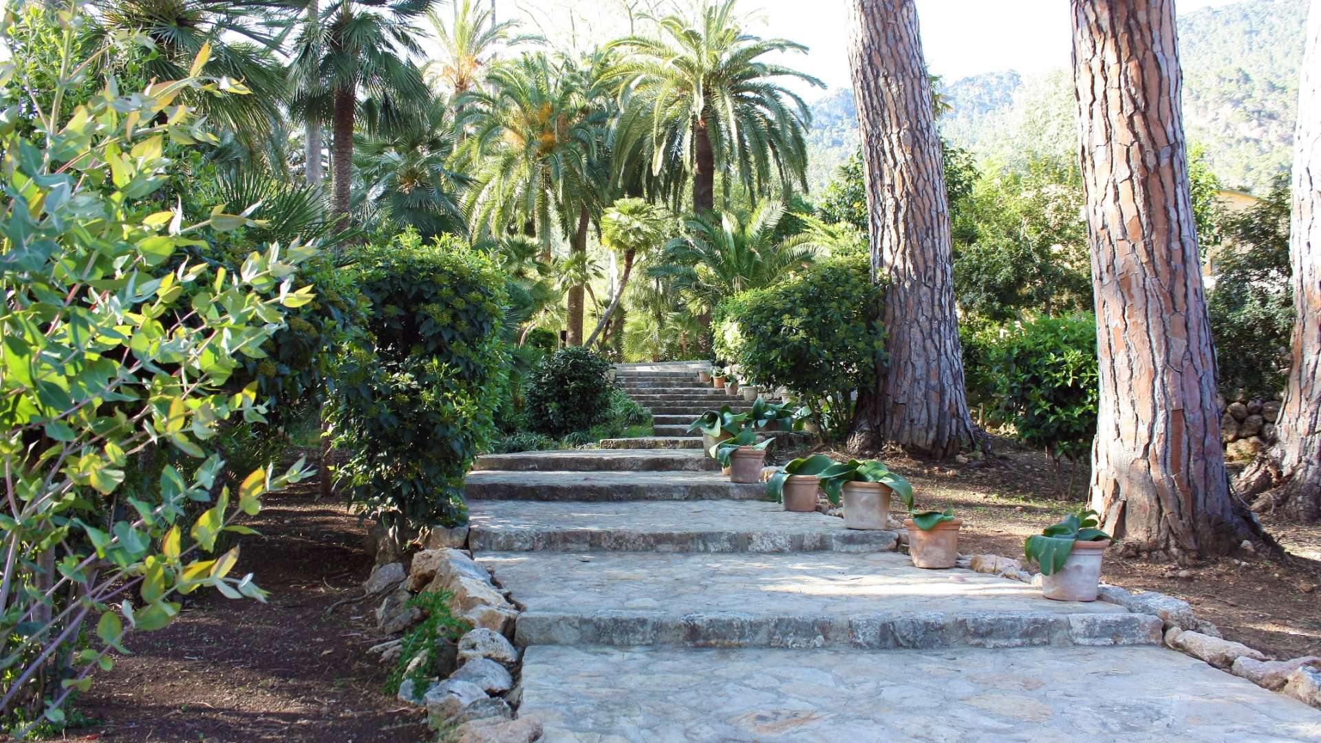 Los Jardines Galería 4 - Jardines de Alfabia