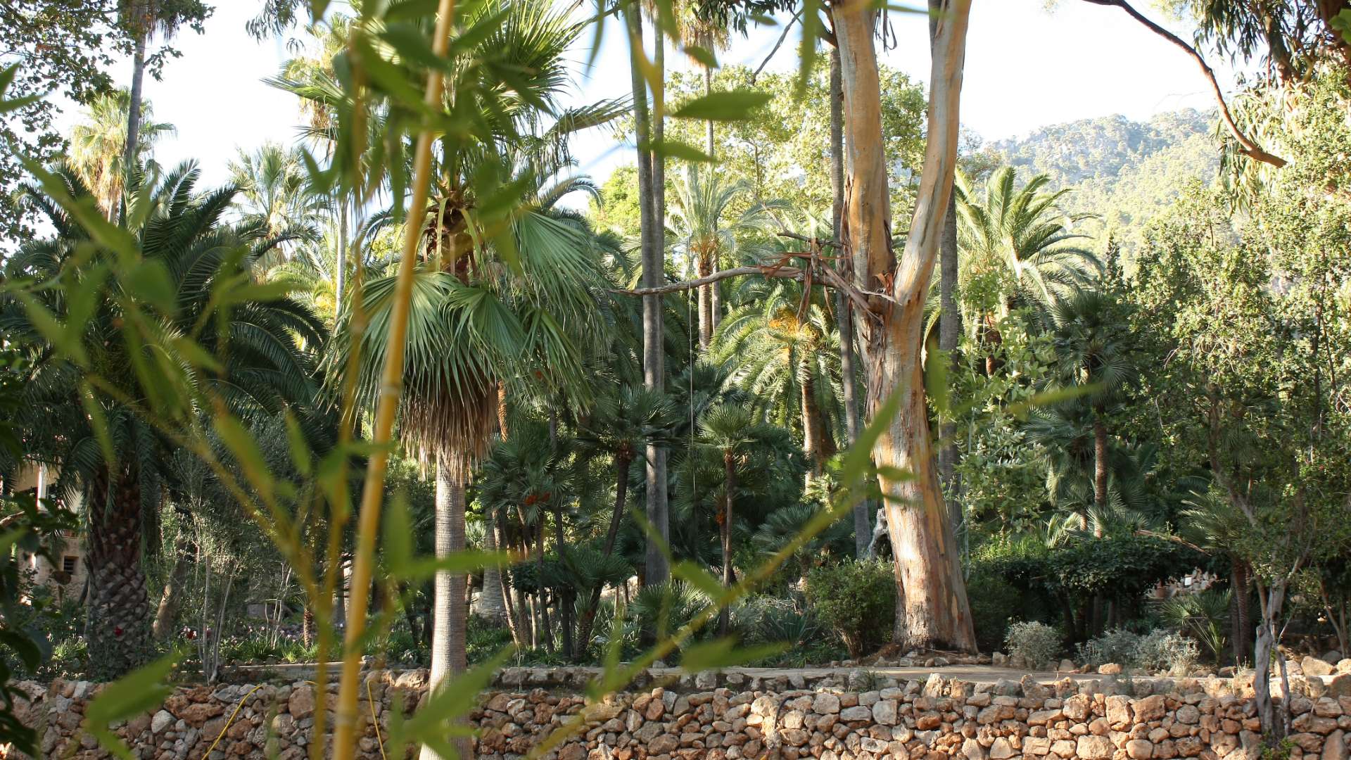 Los Jardines Galería 6 - Jardines de Alfabia