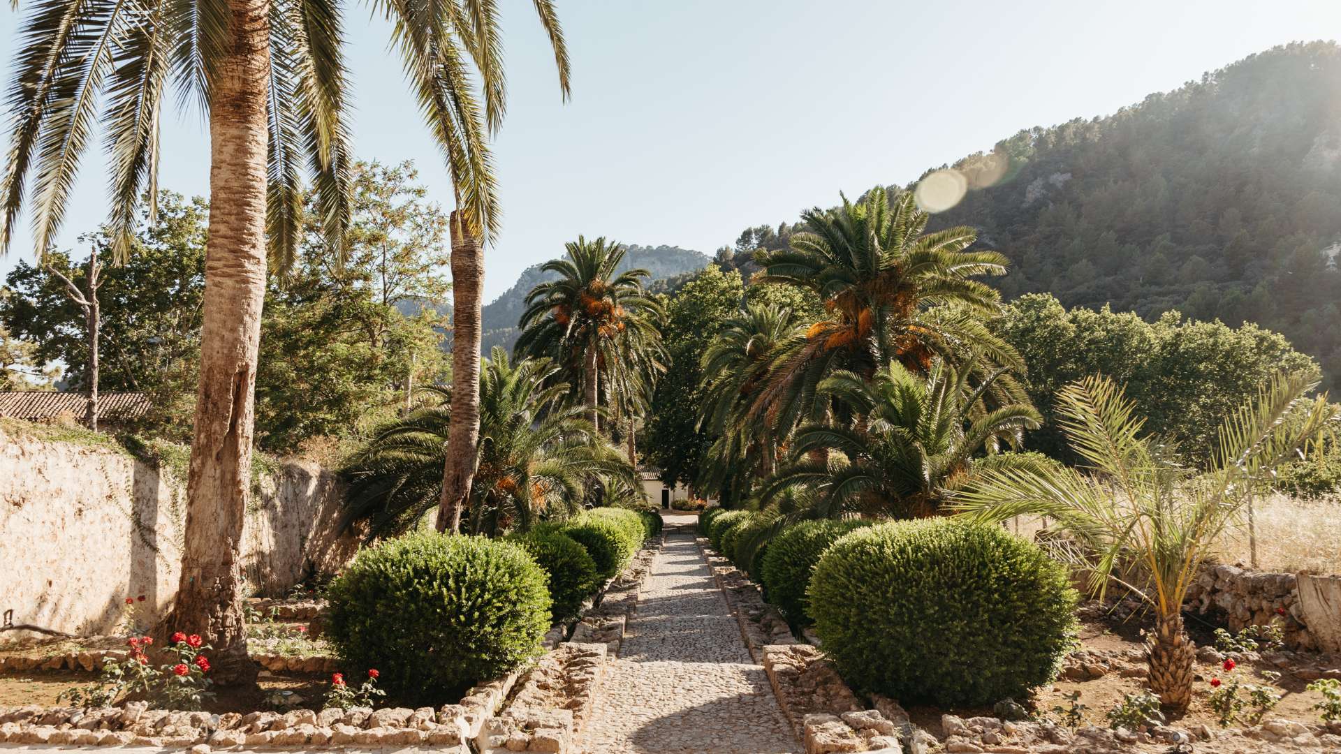 Los Jardines Galería 28 - Jardines de Alfabia