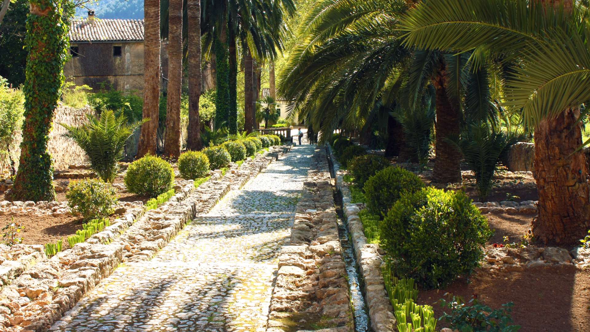 Los Jardines Galería 26 - Jardines de Alfabia