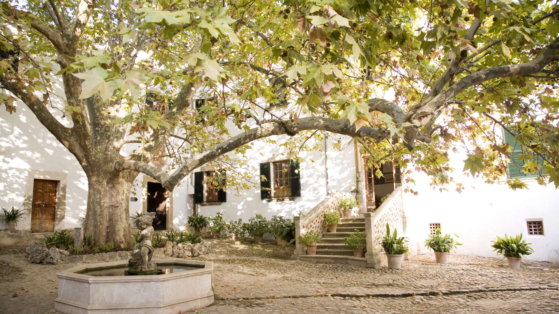 The House Gallery 4 - Jardines de Alfabia
