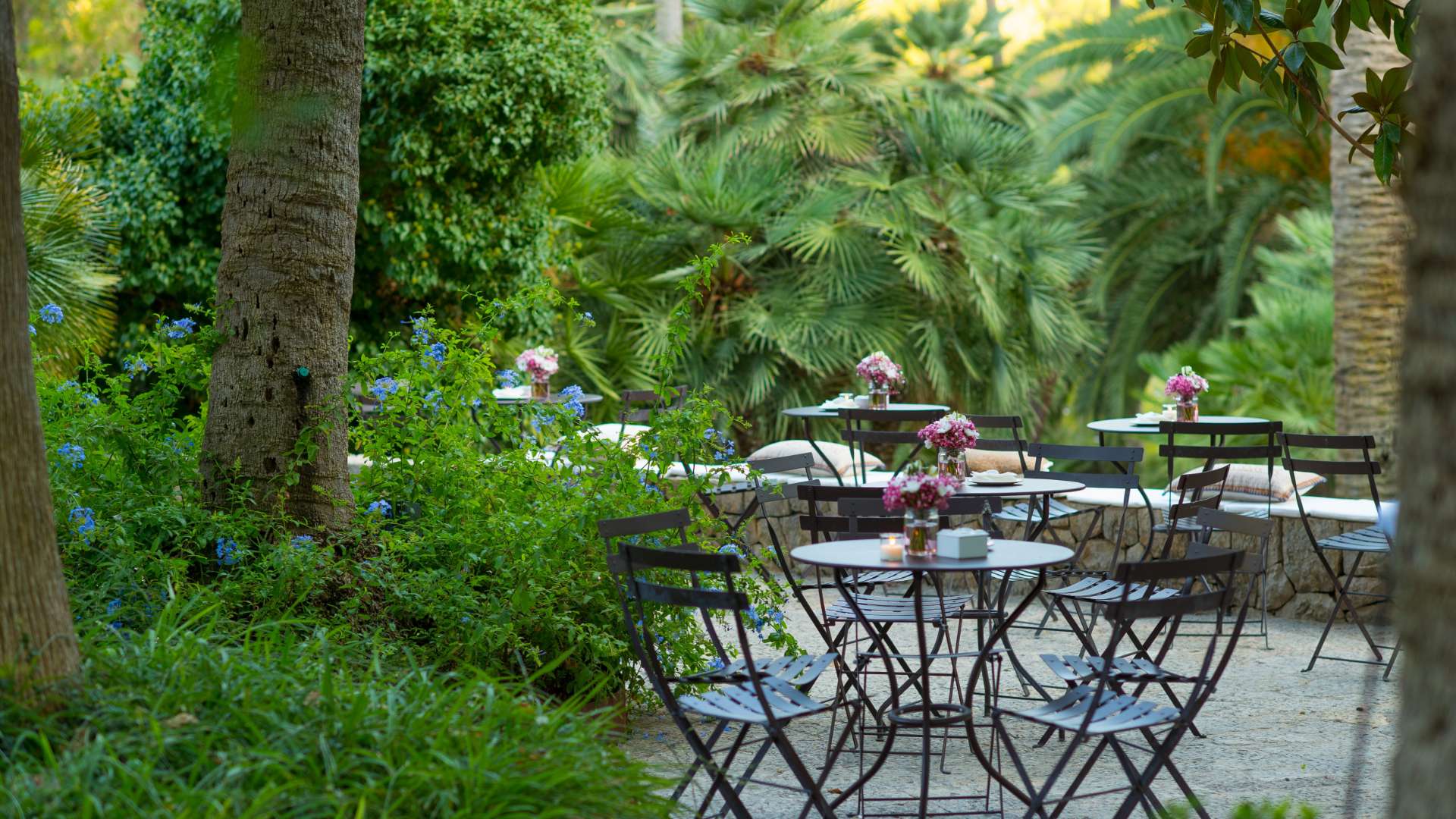 Les Jardins 2 - Jardines de Alfabia